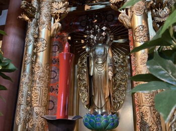 �����񍐎ʐ^